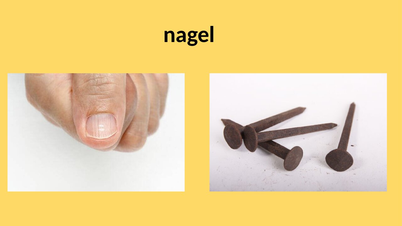 Preview van homoniemenquiz.pdf