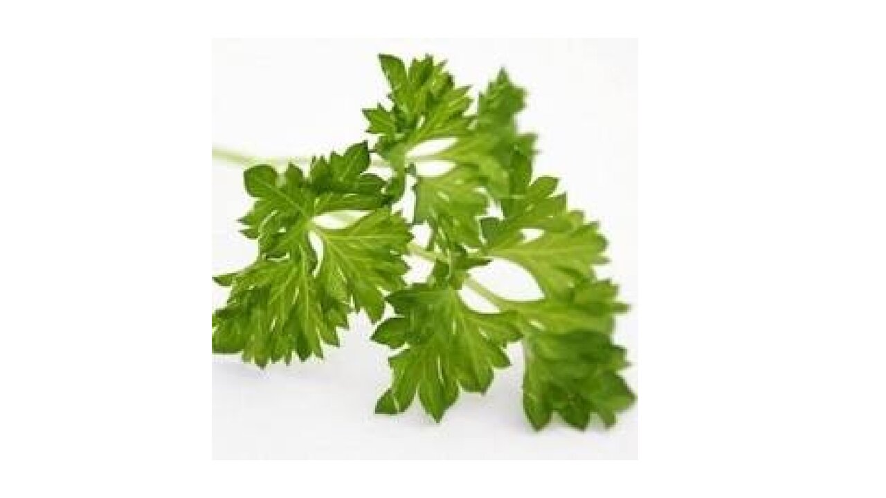 Preview van 20240318-Train-Je-Brein.pdf