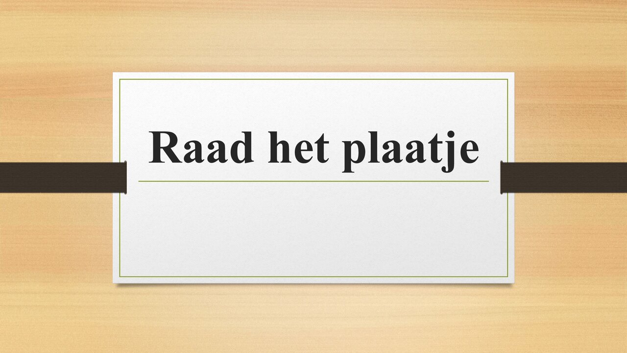 Preview van Raad-het-plaatje.pdf