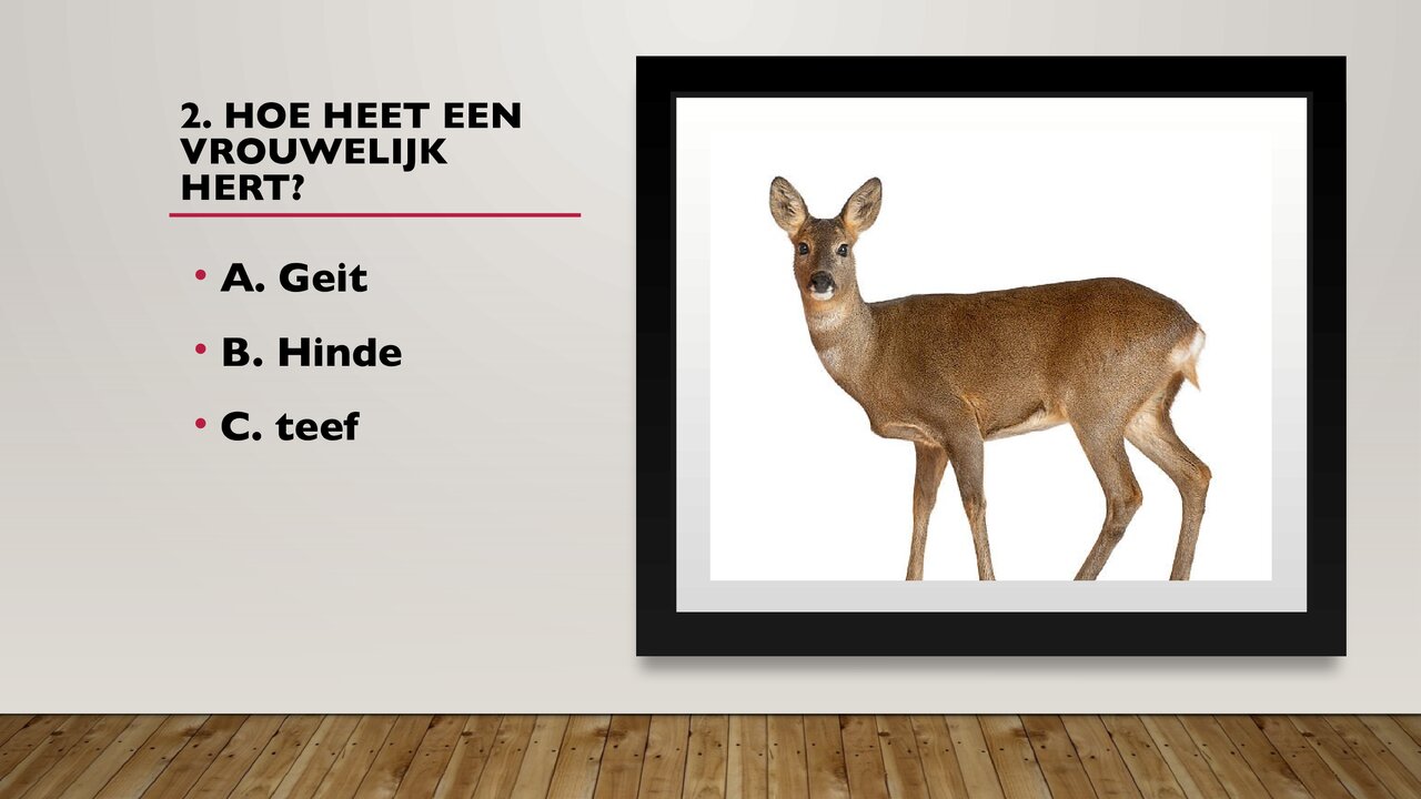 Preview van weetjesquiz.pdf