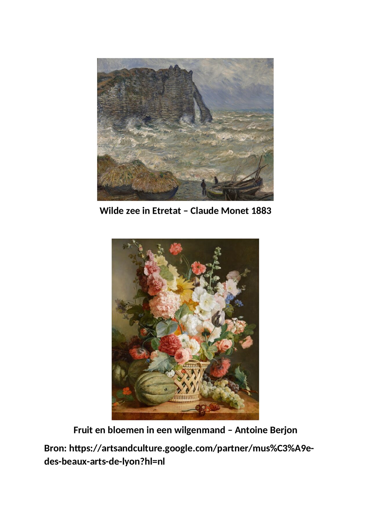 Preview van Museedesbeaux-artsdelyon.pdf