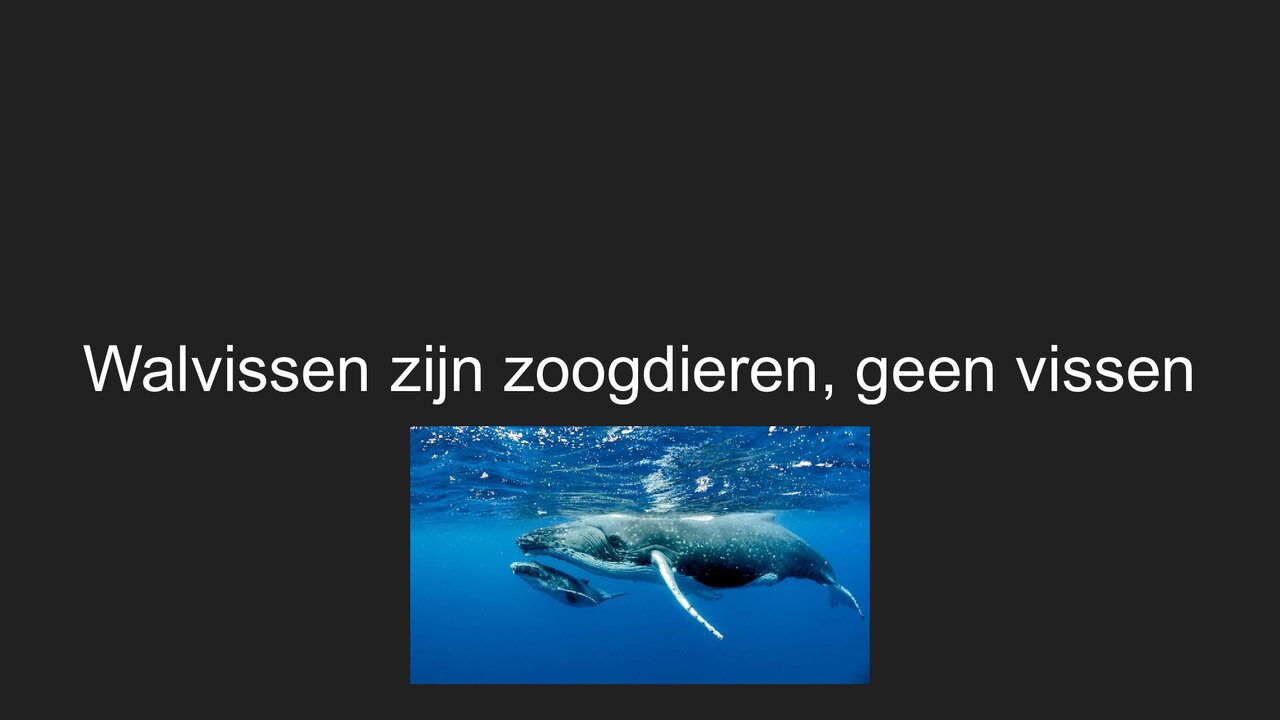 Preview van Juist-of-fout-mei-.pdf