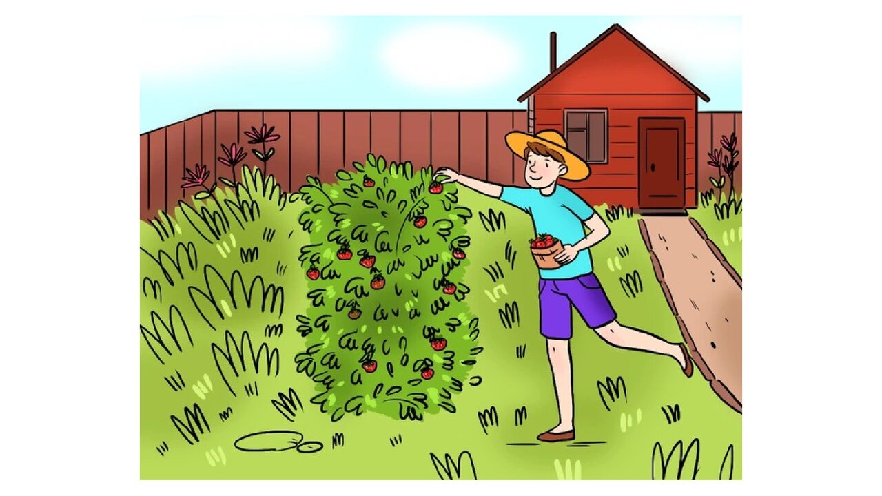 Preview van Wat-is-er-fout_.pdf