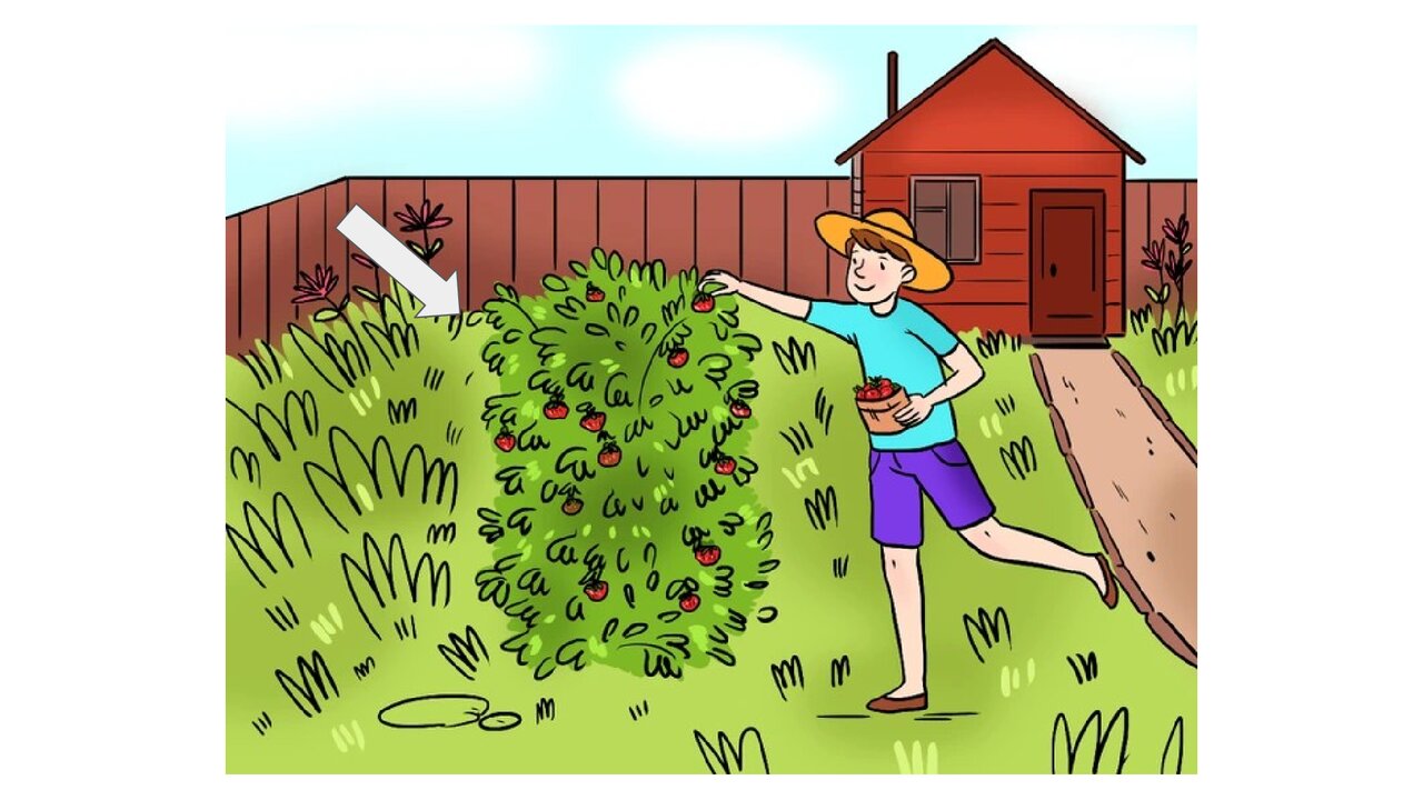 Preview van Wat-is-er-fout_.pdf