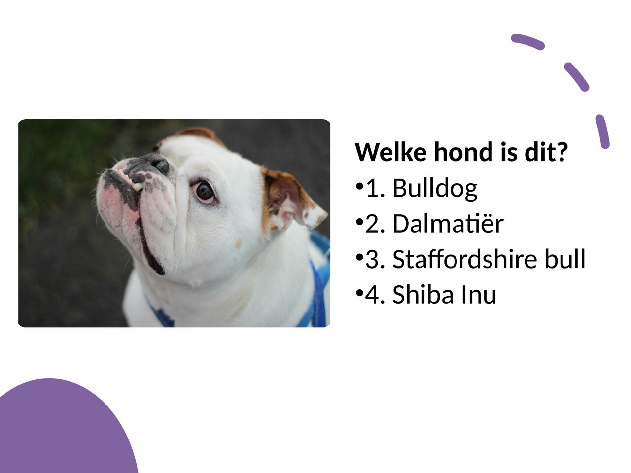 Preview van Hondenquiz.pdf