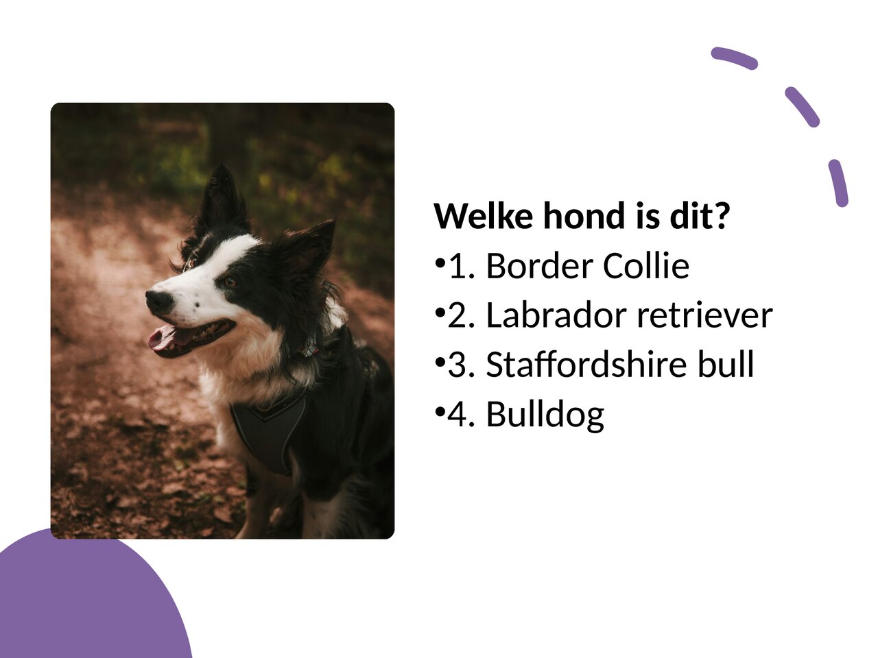 Preview van Hondenquiz.pdf