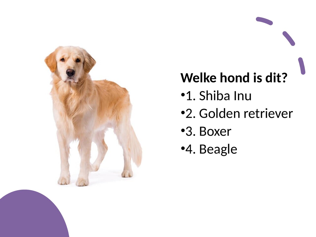 Preview van Hondenquiz.pdf