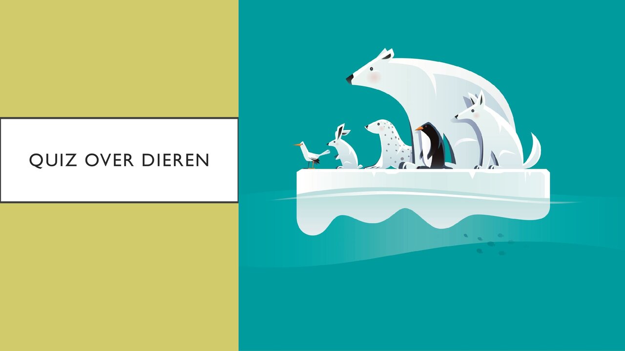 Preview van Quiz-over-dieren.pdf