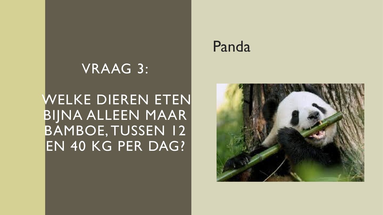 Preview van Quiz-over-dieren.pdf