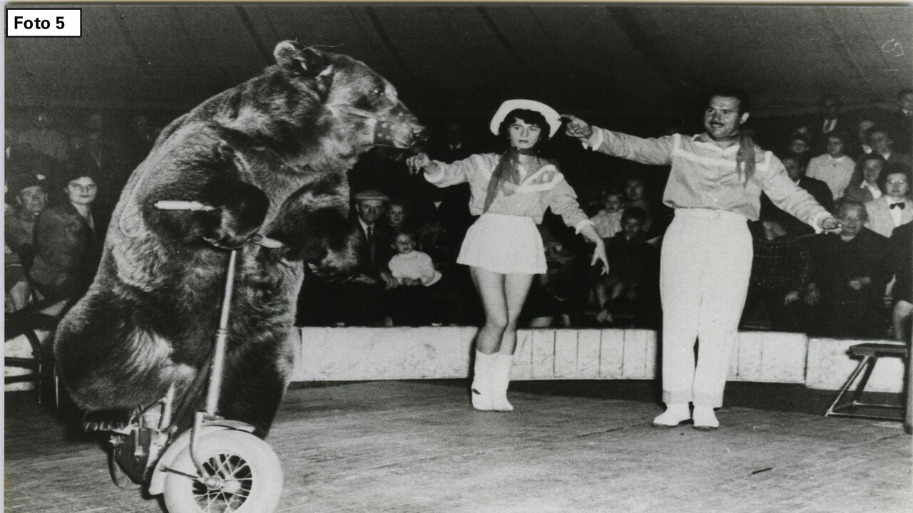 Preview van 10Afbeeldingen_Krachtpatsers.pdf