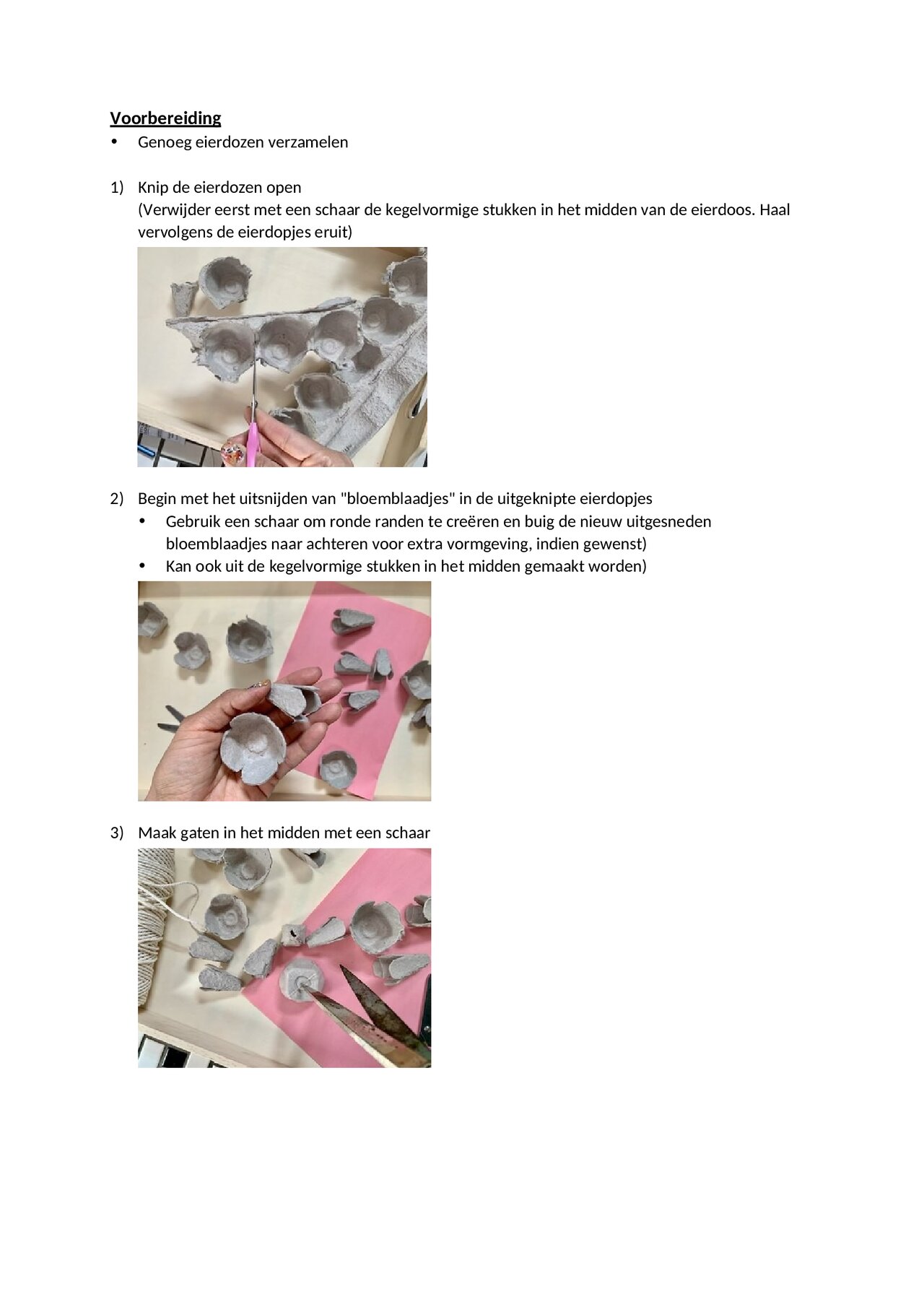 Preview van Bloemen-uit-eierdoosjes.pdf
