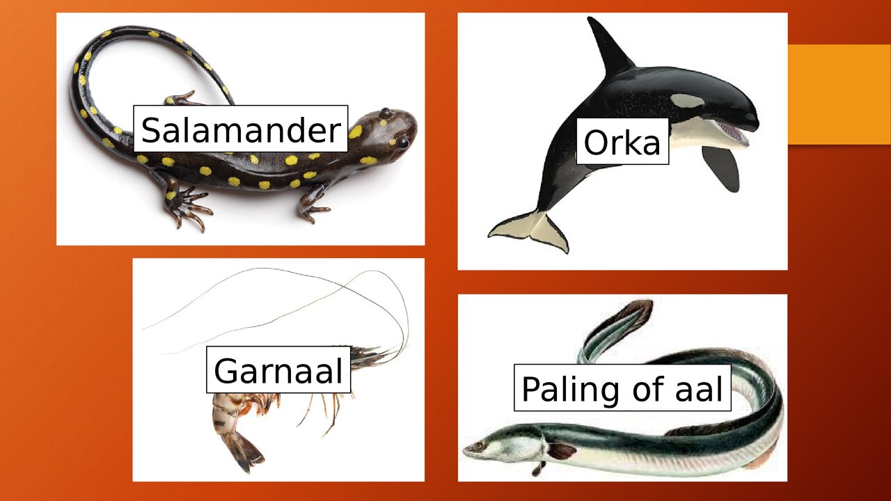 Preview van Quiz Varia.pdf