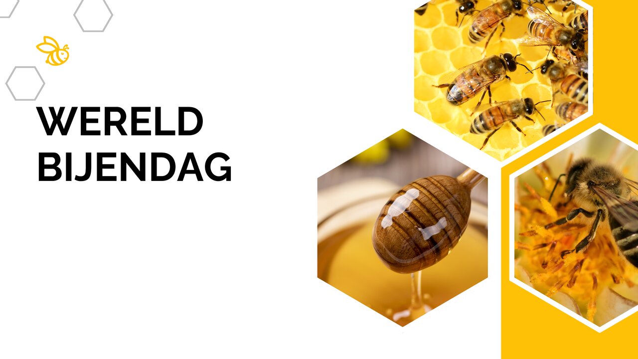 Preview van White Yellow Modern Geometric Honey Bee Presentation (1).pdf