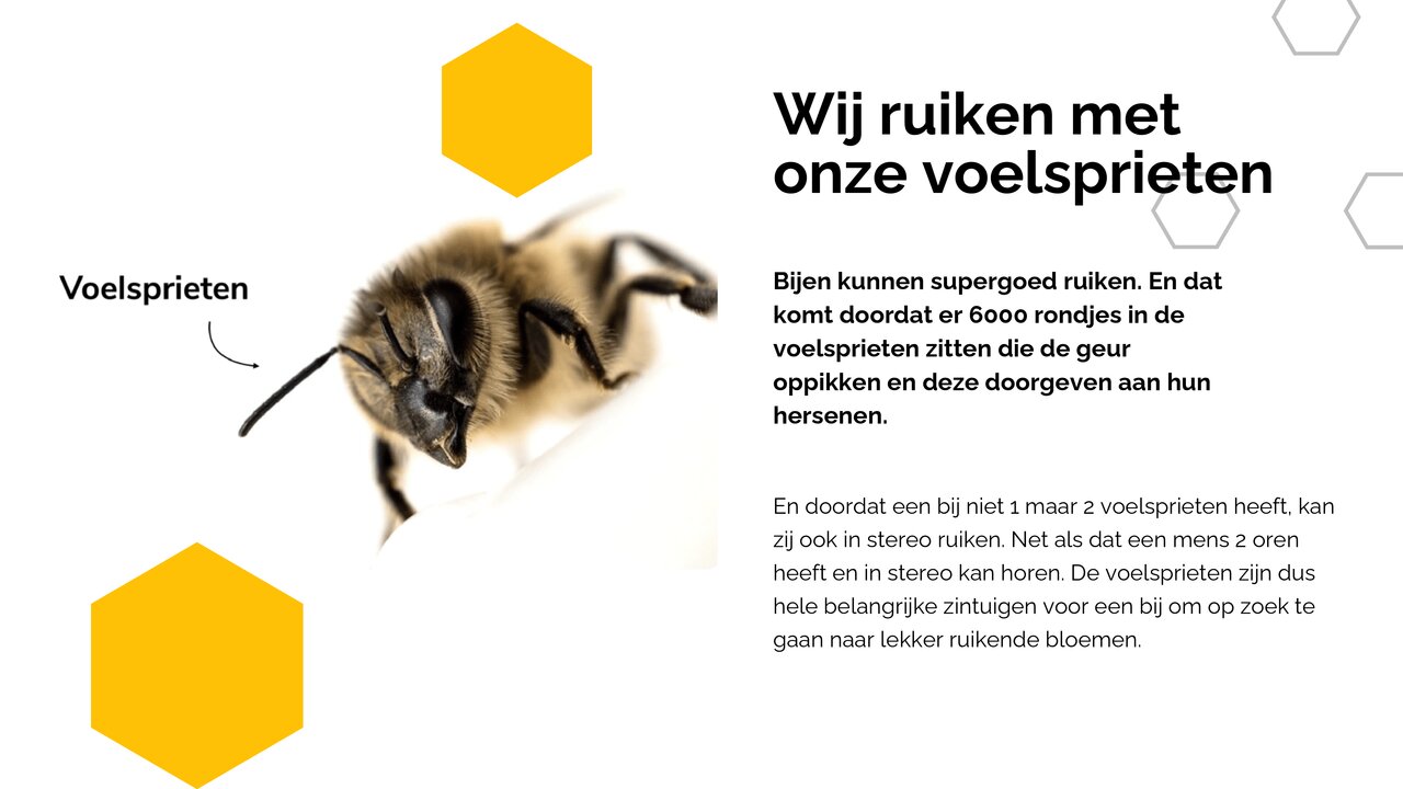 Preview van White Yellow Modern Geometric Honey Bee Presentation (1).pdf