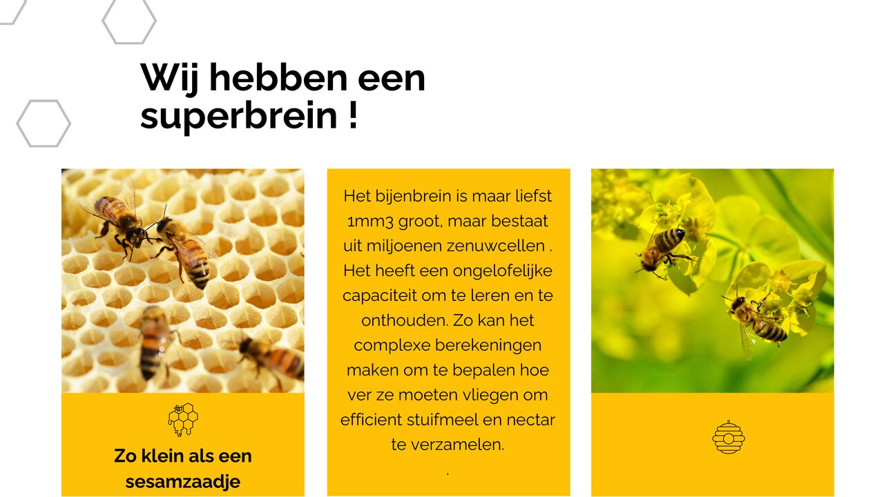 Preview van White Yellow Modern Geometric Honey Bee Presentation (1).pdf