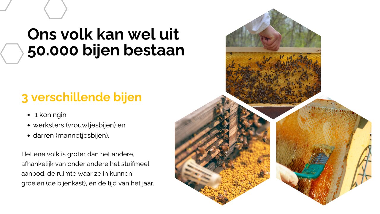 Preview van White Yellow Modern Geometric Honey Bee Presentation (1).pdf